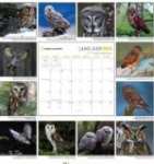 Owls 2010 Calendar
