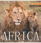 Africa Calendar Lions 2023
