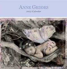 Le calendrier mural de Anne Geddes 2023