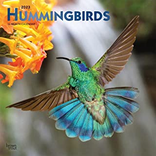 Hummingbirds 2023 Calendar