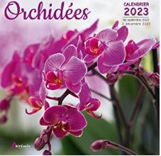Calendrier orchidées 2023
