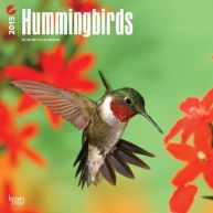 Hummingbirds 2015 Calendar