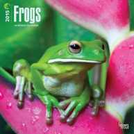 Amaizing frog's calendar 2015